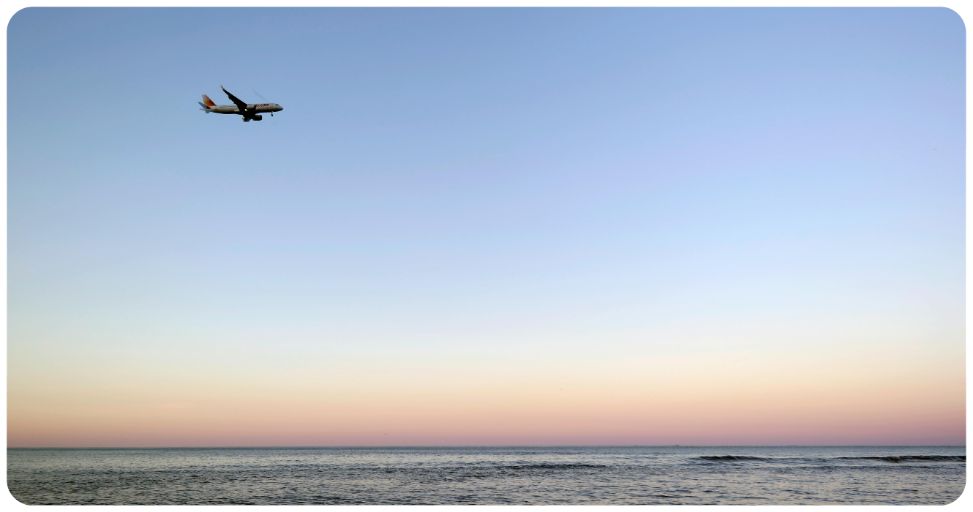 legislation transport cbd